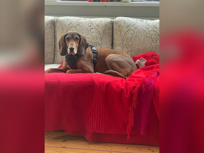 Alva sucht neuen Wirkungskreis