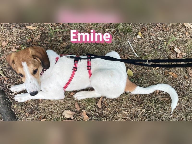 Emine, 03/26 - aufgewecktes Mädel wartet in 40723 Hilden