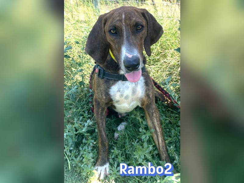 Rambo2, 06/25 - ein Kämpfer mit einem Herz aus Gold