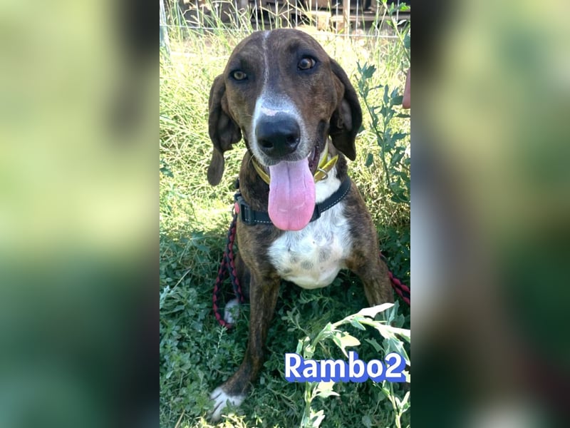 Rambo2, 06/25 - ein Kämpfer mit einem Herz aus Gold