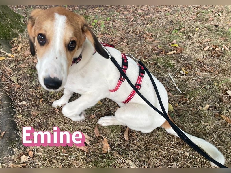 Emine, 03/26 - aufgewecktes Mädel wartet in 40723 Hilden
