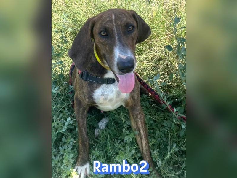 Rambo2, 06/25 - ein Kämpfer mit einem Herz aus Gold