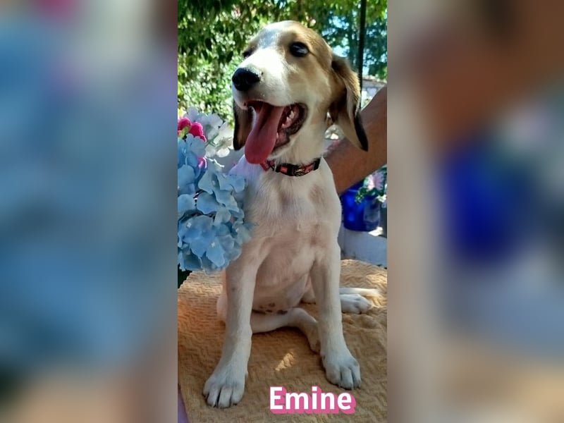Emine, 03/26 - aufgewecktes Mädel sucht Familie