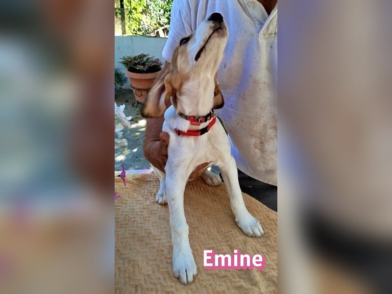 Emine, 03/26 - aufgewecktes Mädel sucht Familie