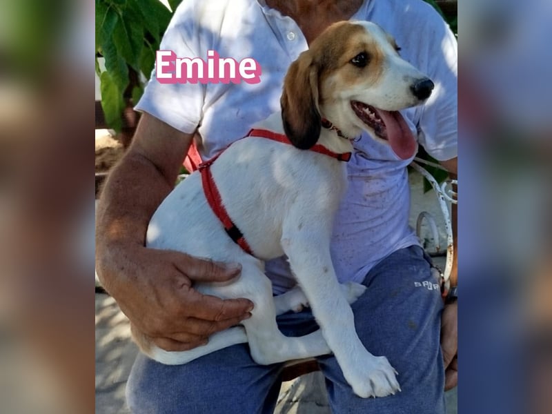 Emine, 03/26 - aufgewecktes Mädel sucht Familie