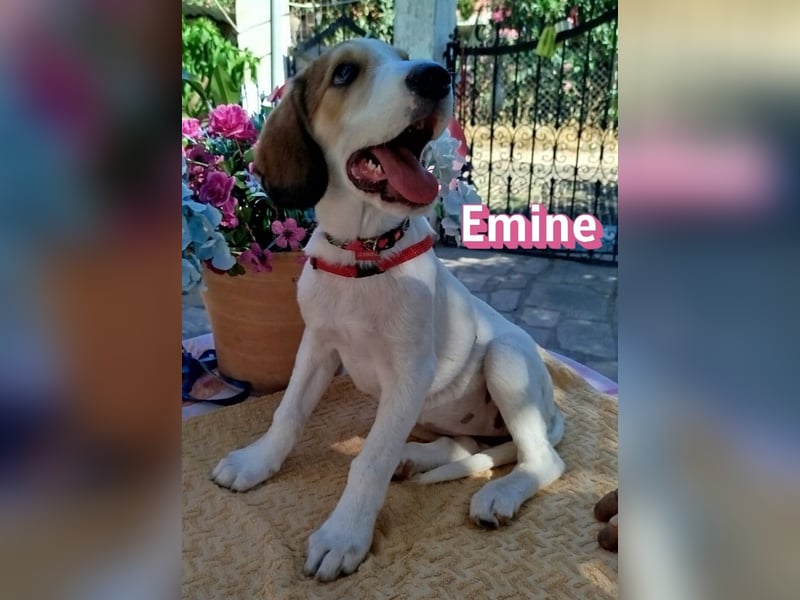 Emine, 03/26 - aufgewecktes Mädel sucht Familie