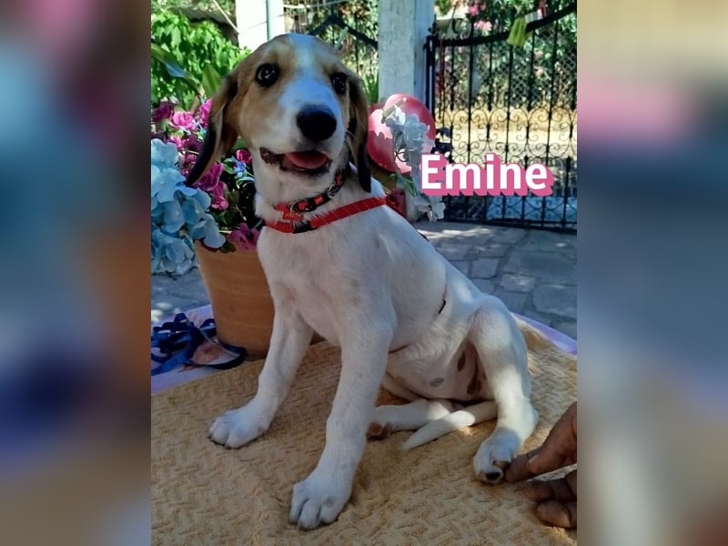 Emine, 03/26 - aufgewecktes Mädel sucht Familie
