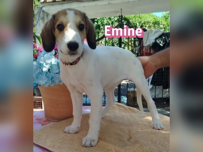 Emine, 03/26 - aufgewecktes Mädel sucht Familie