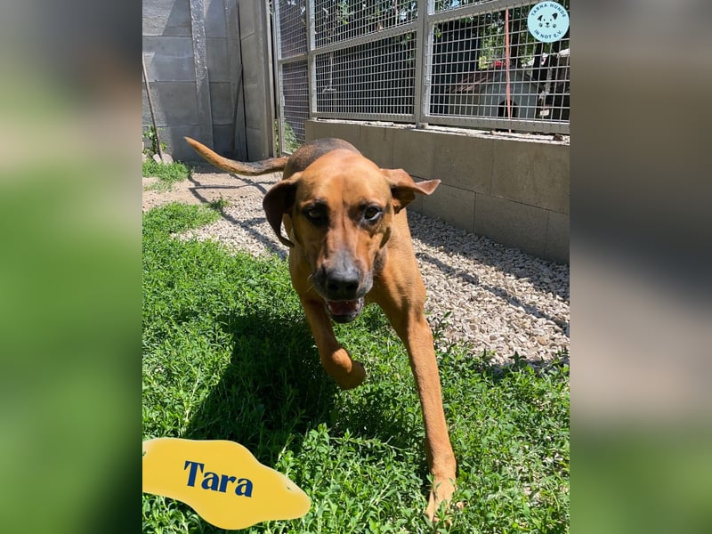 Tara SI, freundlich und aufgeschlossen