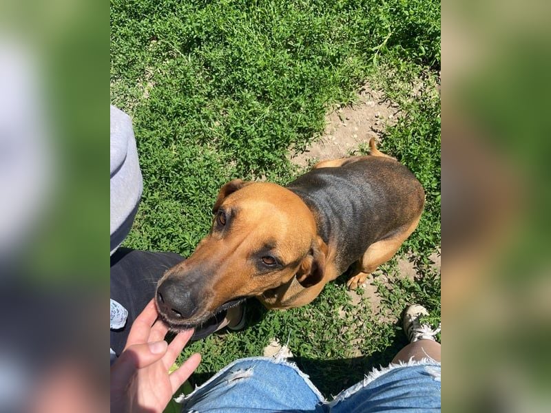 Tara SI, freundlich und aufgeschlossen