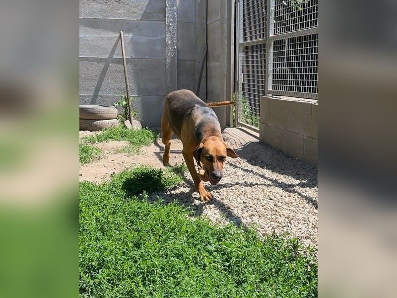 Tara SI, freundlich und aufgeschlossen