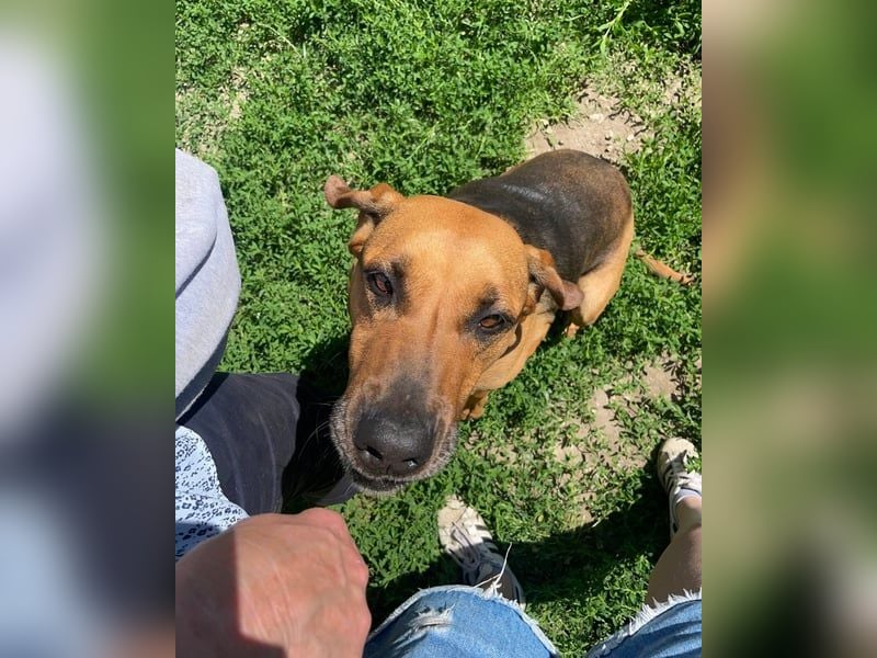 Tara SI, freundlich und aufgeschlossen