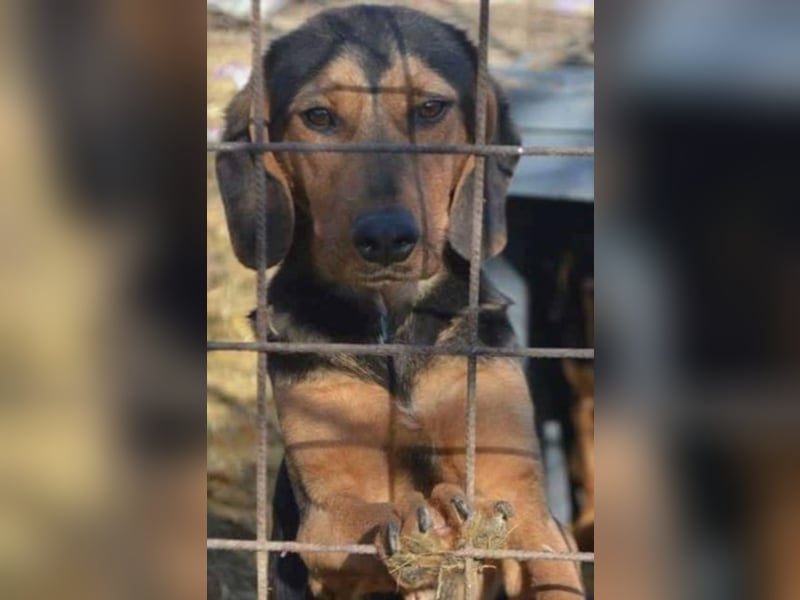 Hermine, wünscht sich eine liebe Familie