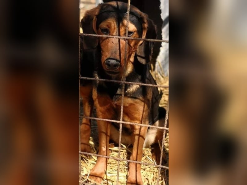 Hermine, wünscht sich eine liebe Familie