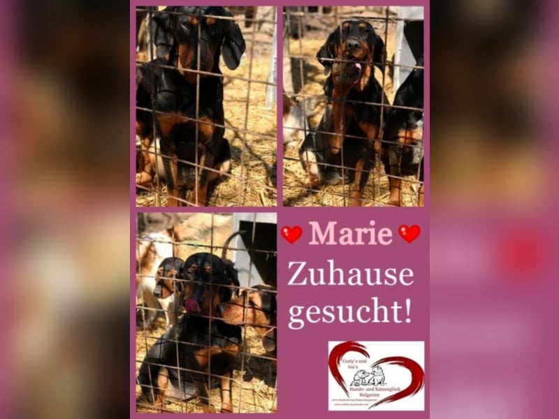 Marie, sucht Liebe und Geborgenheit