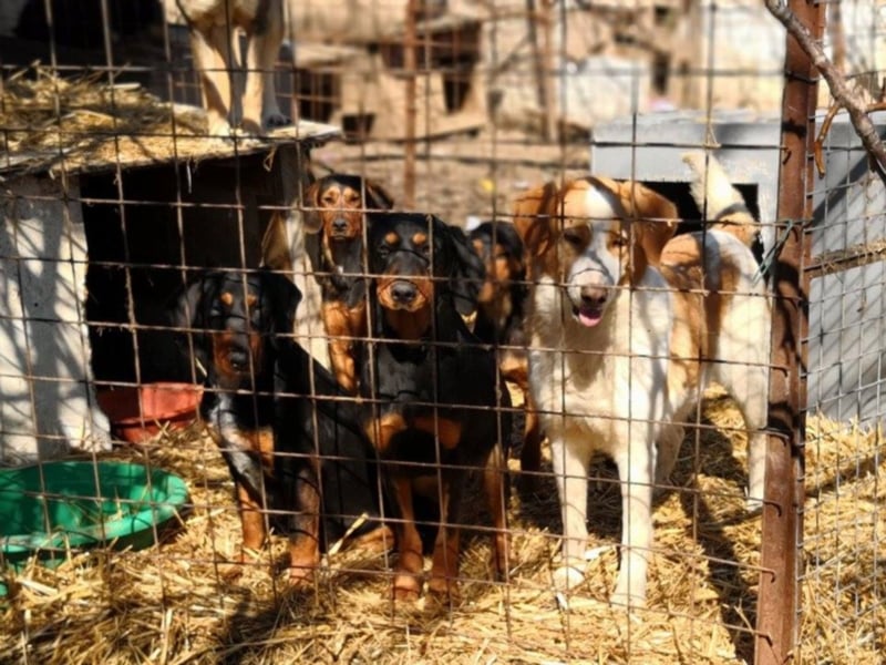 Marie, sucht Liebe und Geborgenheit