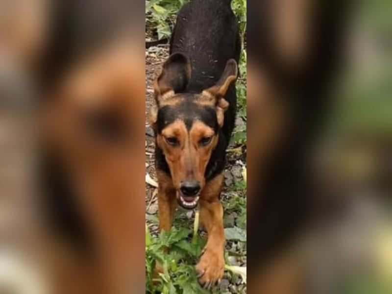 Hermine, wünscht sich eine liebe Familie