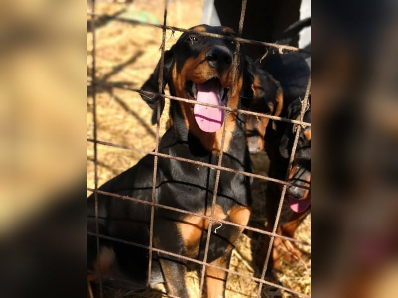 Marie, sucht Liebe und Geborgenheit