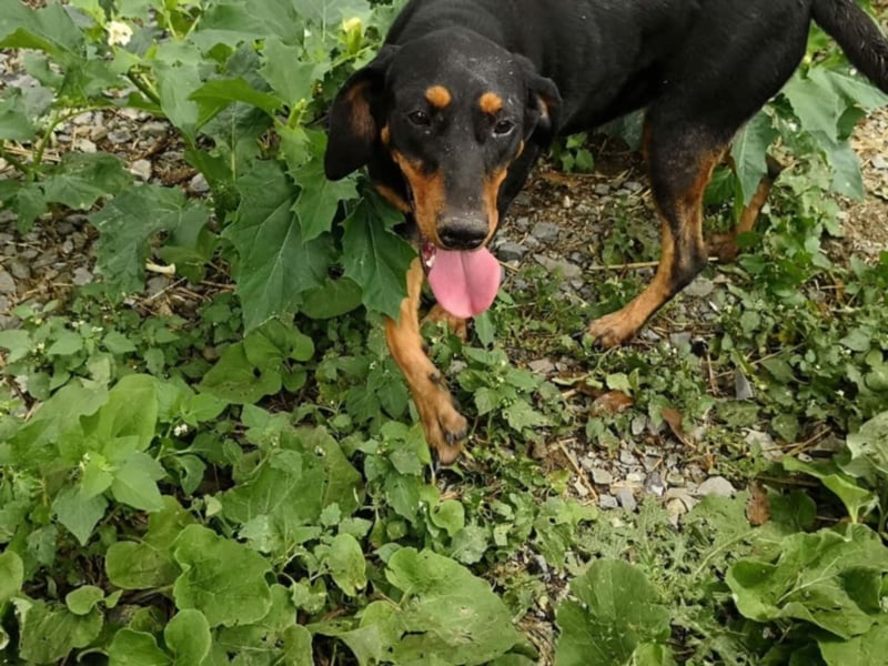 Marie, sucht Liebe und Geborgenheit