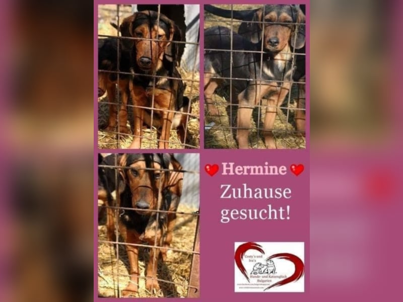 Hermine, wünscht sich eine liebe Familie