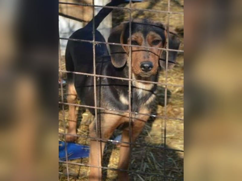 Hermine, wünscht sich eine liebe Familie