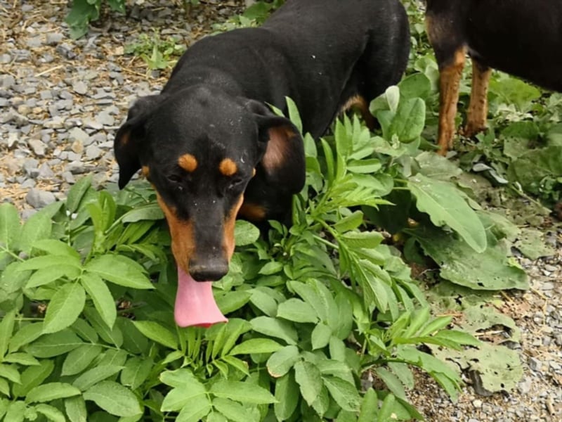Marie, sucht Liebe und Geborgenheit