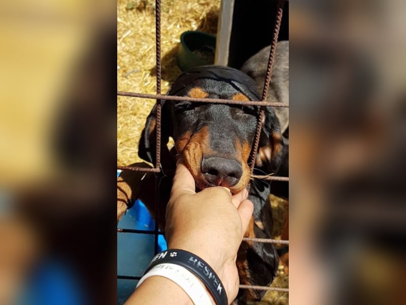 Marie, sucht Liebe und Geborgenheit