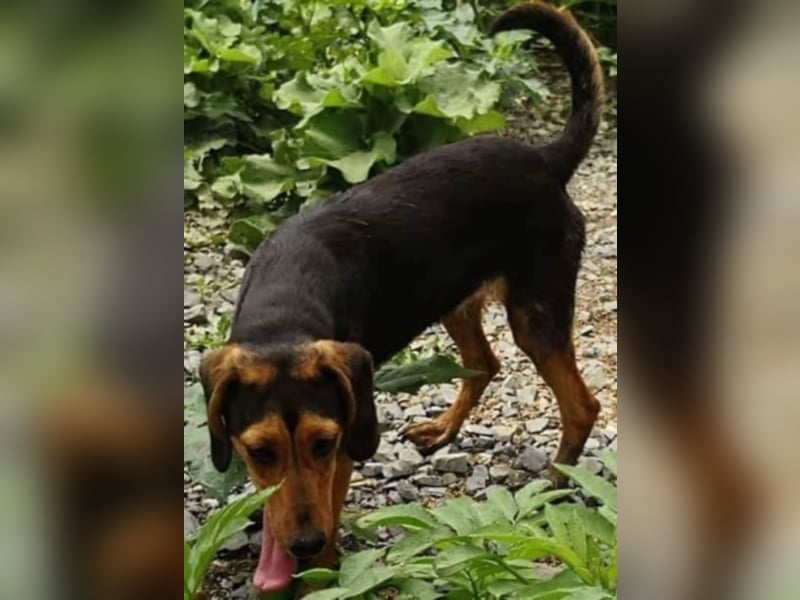 Hermine, wünscht sich eine liebe Familie