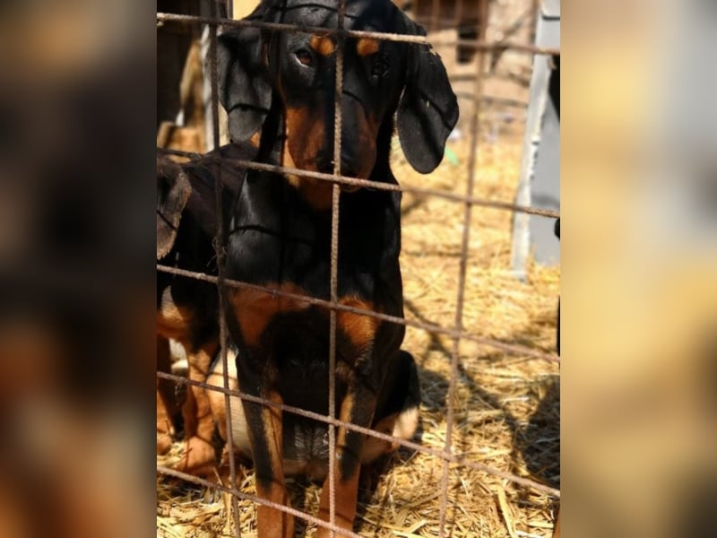 Marie, sucht Liebe und Geborgenheit