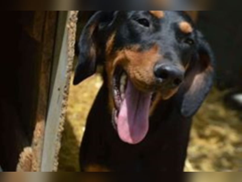 Marie, sucht Liebe und Geborgenheit