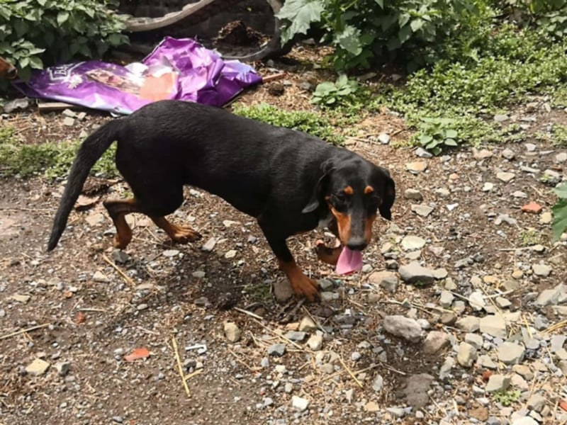 Marie, sucht Liebe und Geborgenheit