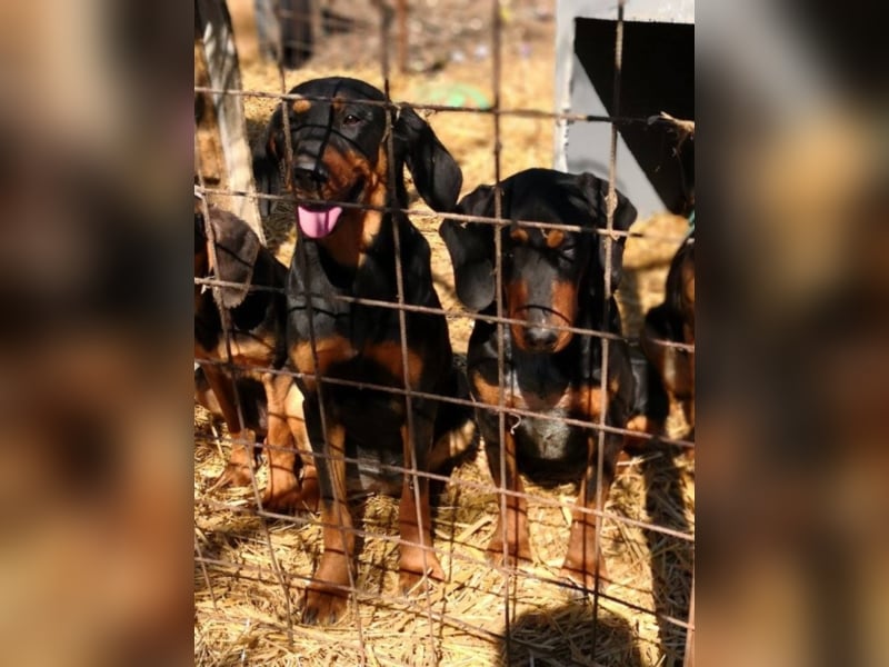 Marie, sucht Liebe und Geborgenheit