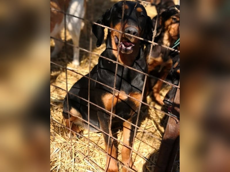 Marie, sucht Liebe und Geborgenheit