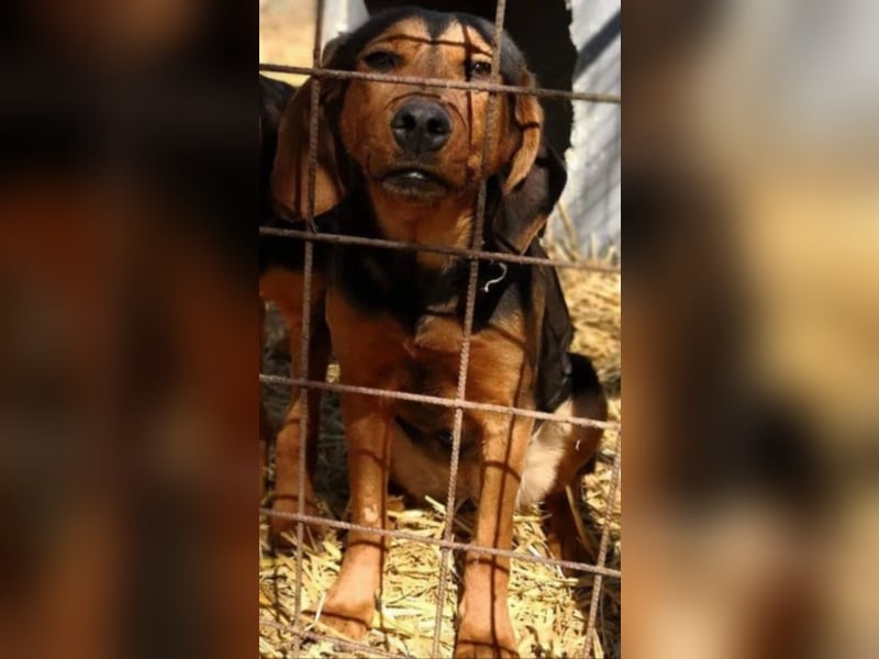 Hermine, wünscht sich eine liebe Familie