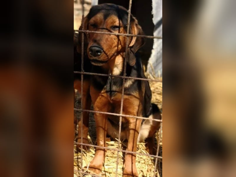 Hermine, wünscht sich eine liebe Familie