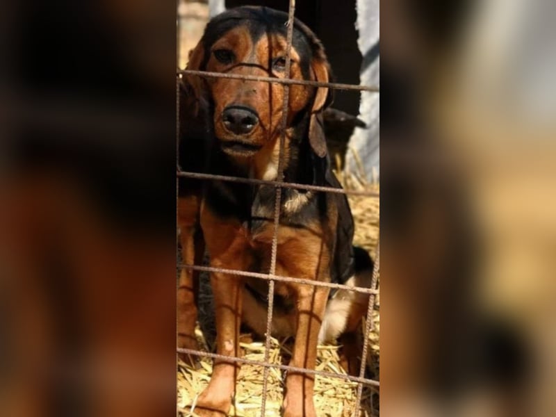 Hermine, wünscht sich eine liebe Familie