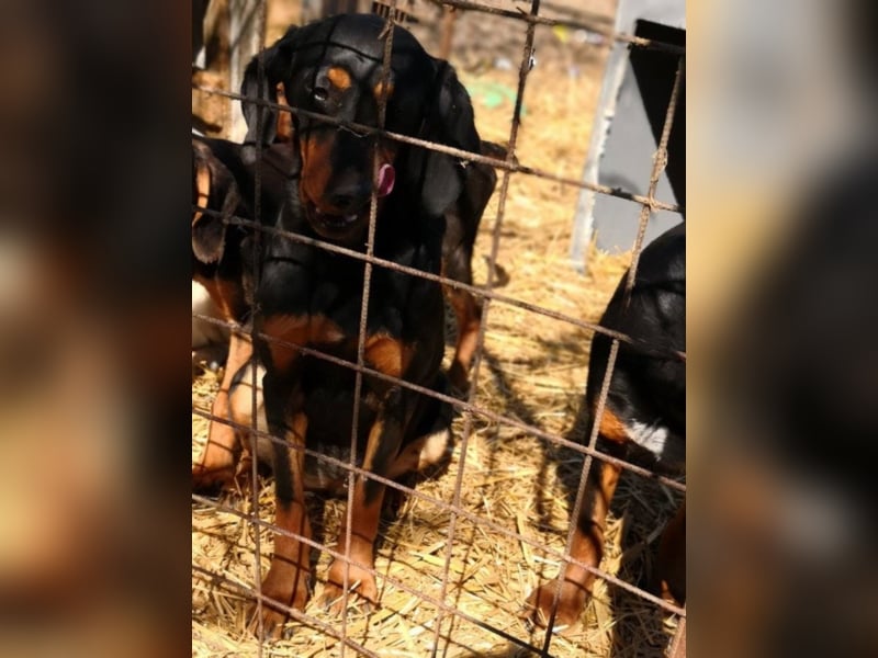 Marie, sucht Liebe und Geborgenheit