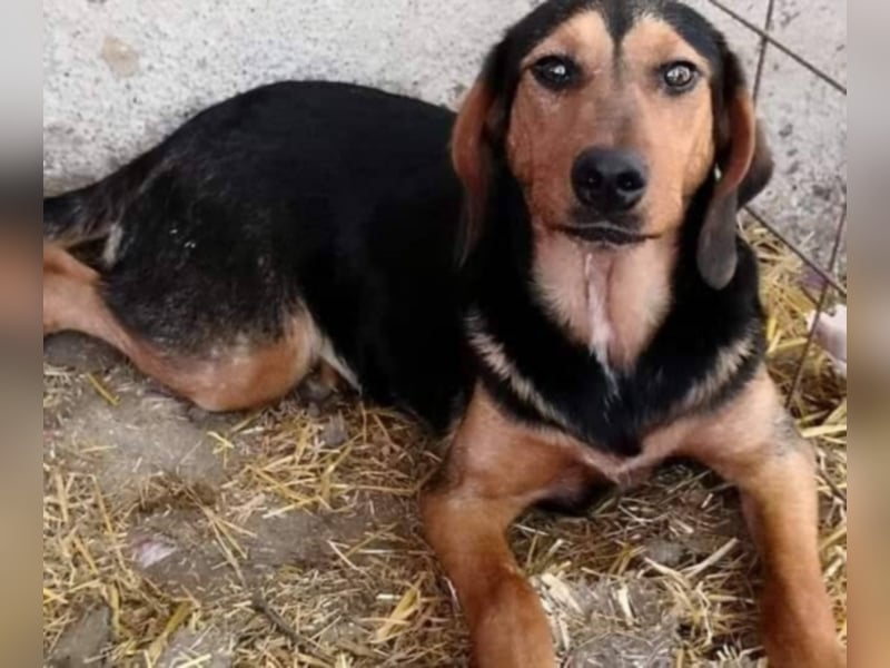 Hermine, wünscht sich eine liebe Familie