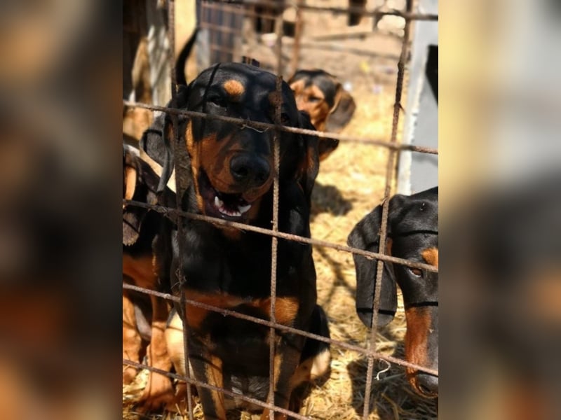 Marie, sucht Liebe und Geborgenheit