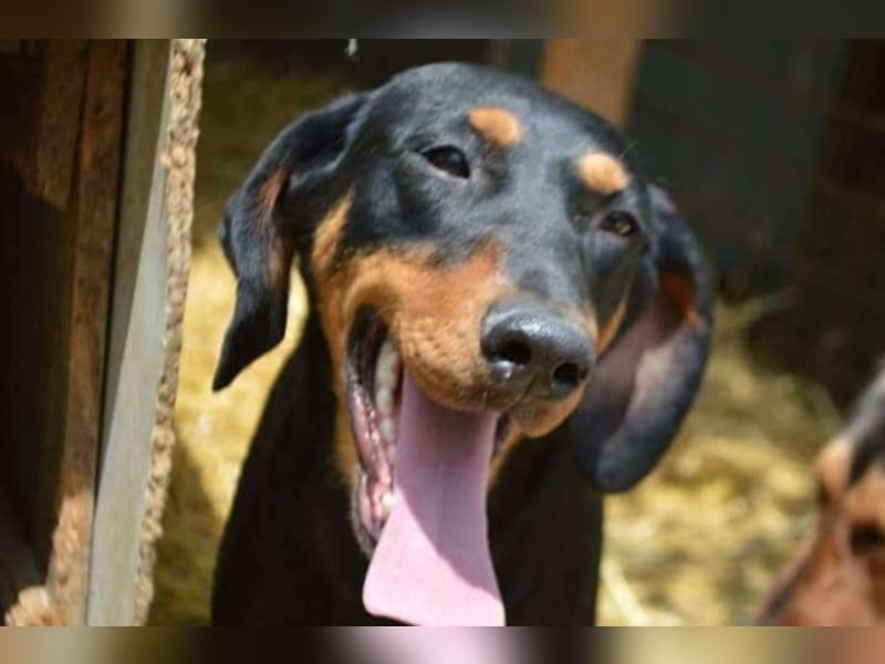 Marie, sucht Liebe und Geborgenheit