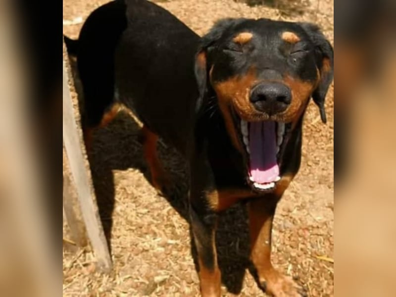 Marie, sucht Liebe und Geborgenheit