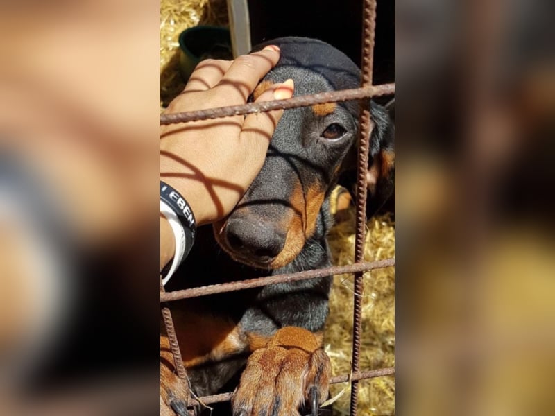 Marie, sucht Liebe und Geborgenheit