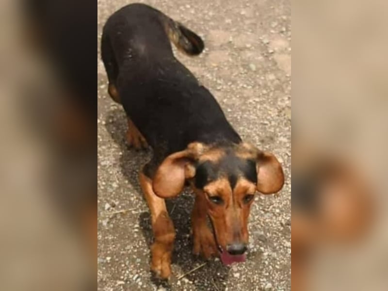 Hermine, wünscht sich eine liebe Familie