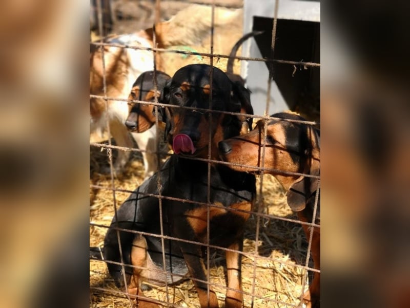 Marie, sucht Liebe und Geborgenheit