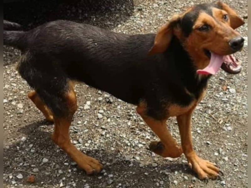 Hermine, wünscht sich eine liebe Familie