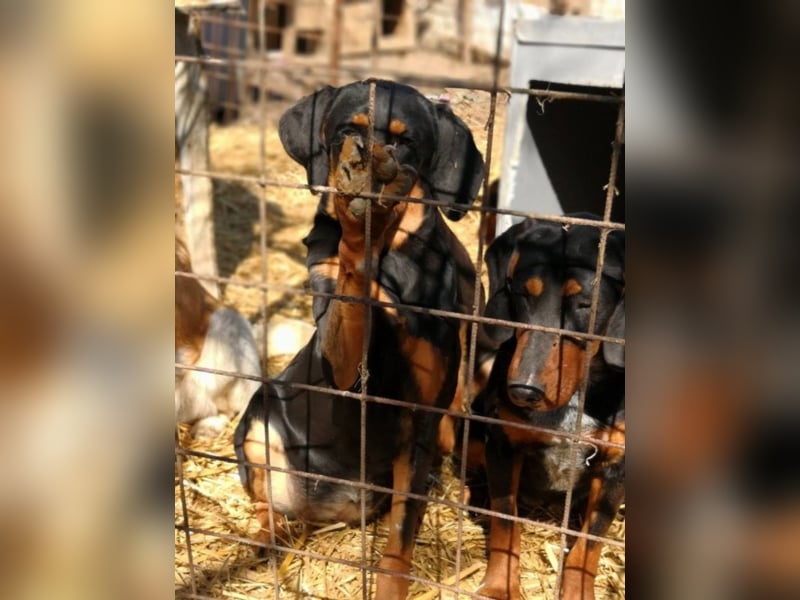 Marie, sucht Liebe und Geborgenheit