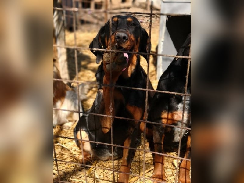 Marie, sucht Liebe und Geborgenheit