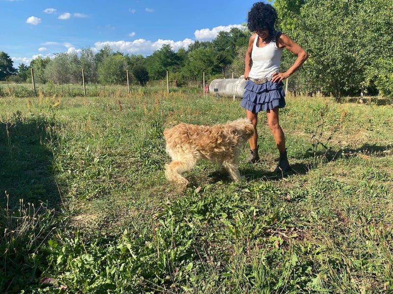 Jackline, süße Briard Hündin sucht …..