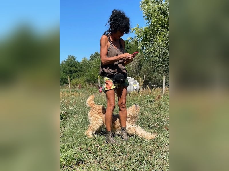 Jackline, süße Briard Hündin sucht …..