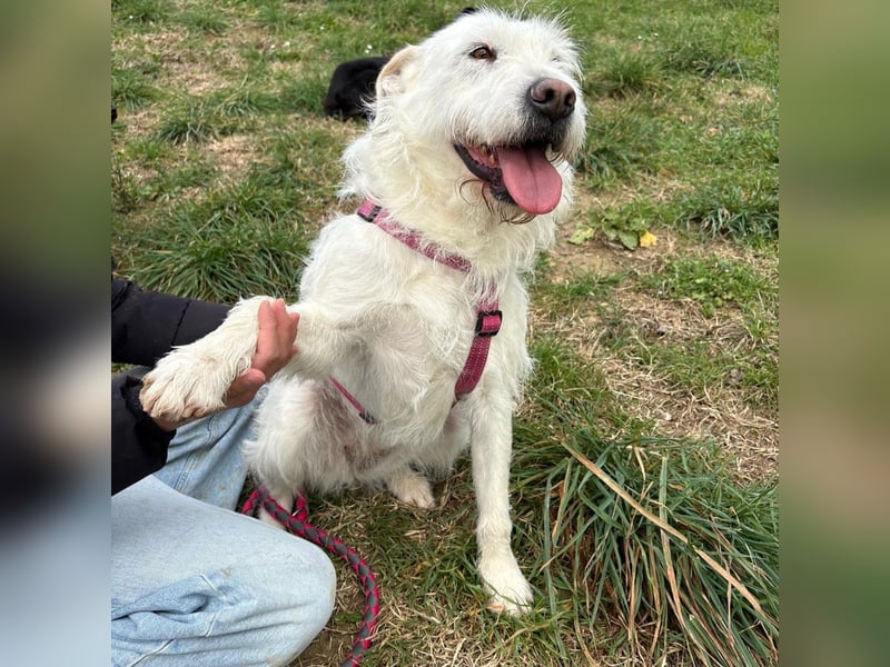 Bianca - liebevoll, zugewandt und bereit für ihr neues Leben